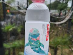 -武汉动物园