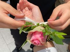 -BALENCIAGA(比斯特苏州购物村店)