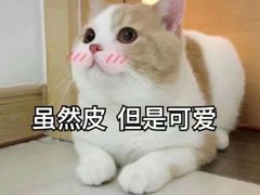 -三国惹火烤肉·中日韩烤肉集合店(百草路店)