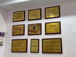 -香薇妮丝·定制减肥·身材管理