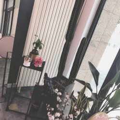 -Priscilla皮肤管理中心