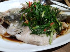 -白家餐厅(徐家汇店)