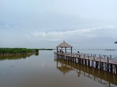 -哈素海