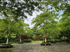 -杭州城北体育公园