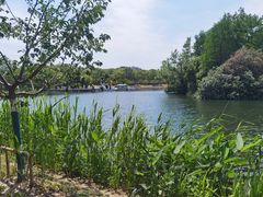-新江湾城公园