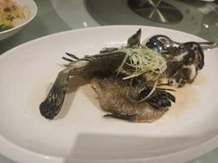 -春满园·早茶·粤菜·宴会(喜宴店)