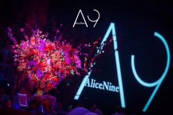 -Alice Nine婚礼艺术空间(总店)