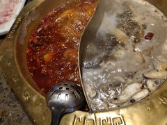 -小龙坎老火锅(华飞店)