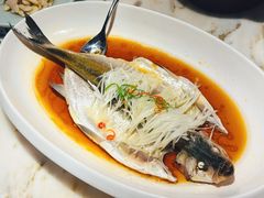 传统清蒸大白鱼-淮扬府(安定门店)