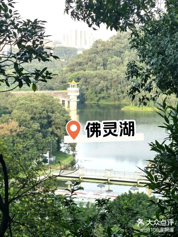 东莞·佛灵湖水上乐园/郊野公园/佛灵湖生态旅游区