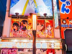 -秋叶原电器街