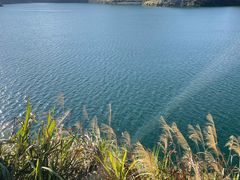 -长沙黑麋峰国家森林公园
