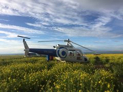 -青海湖国家重点风景名胜区