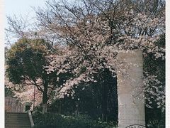 -杭州少年儿童公园