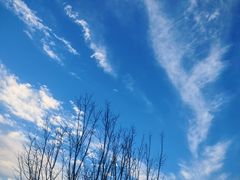 -碑林公园