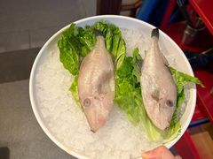 -小龙坎火锅(春熙太古里店)