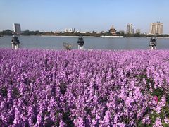-顺峰山公园