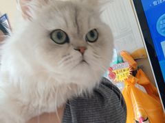 -艾贝尔宠物医院·狂犬免疫点(江山金象城店)