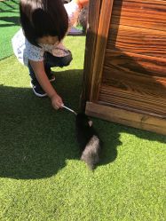 -萌宠亲子动物乐园(槐房万达店)