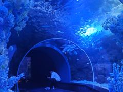 -江和美海洋公园