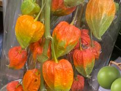 -静岸花卉园艺(三星坊店)