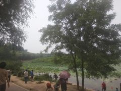 -丁香湖公园