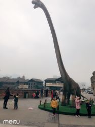 点击看大图 -恐龙探索乐园(磁器口店)