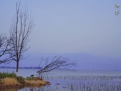 -西昌邛海湿地