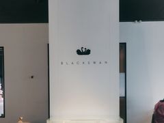 -BLACKSWAN黑天鹅(环球店)