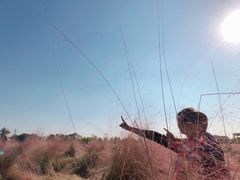 -映月湖中央公园