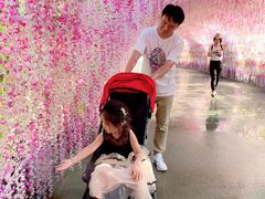 -泉城欧乐堡水上世界