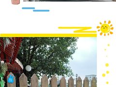 -柴犬高等学院·狗咖·柴犬售卖·宠物训练