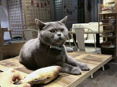 -小时光咖啡馆(开森度假森林店)