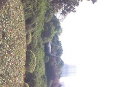 环球恐龙城维景国际大酒店-常州环球恐龙城维景国际大酒店