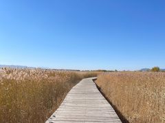 -野鸭湖国家湿地公园