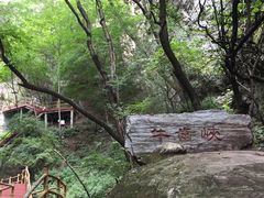 -牛背梁国家森林公园