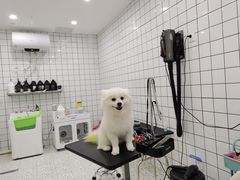 -BABIT巴比特宠物(MOMOPARK店)