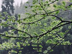 -刘伯温故里景区百丈漈