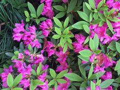 -院子餐厅·大锅菜·老杭帮(桥西直街店)