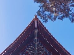 景点-孔庙和国子监博物馆