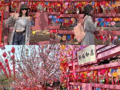 -祥源·阜阳生态乐园