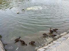 -中国农业博物馆