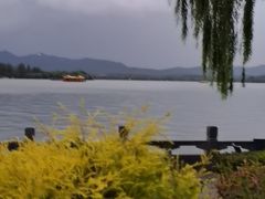 -杭州西湖柳莺里酒店·闻莺厅