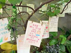 -橡皮书店(翠湖北路店)