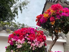 -广州市白云山风景名胜区