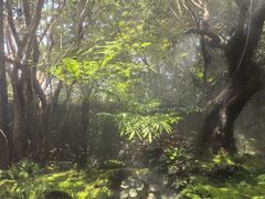 -Chom Cafe and Restaurant