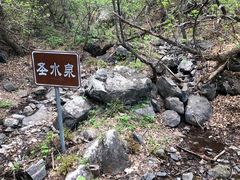 -灵山