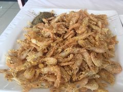 -渔民船说·北塘海鲜·天津菜·海肠捞饭(北塘古镇店)