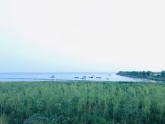 -合肥滨湖国家森林公园