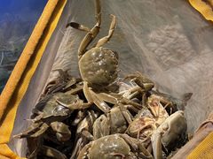 -苏格里岛自助烤肉海鲜火锅(成都金牛万达店)